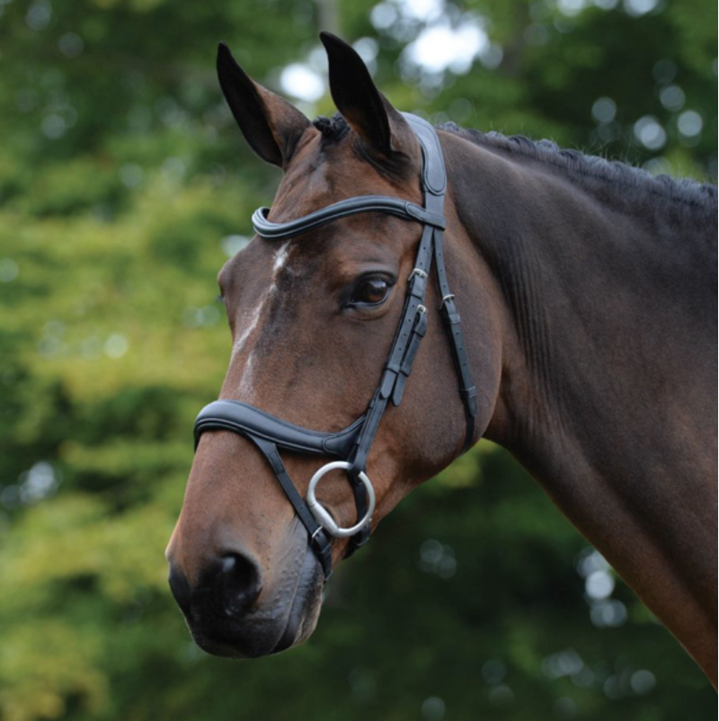 Collegiate Comfitec Vogue Anatomical Bridle Brown